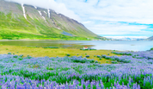 Isafjordur, Iceland